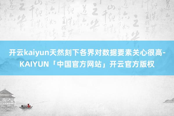 开云kaiyun天然刻下各界对数据要素关心很高-KAIYUN「中国官方网站」开云官方版权