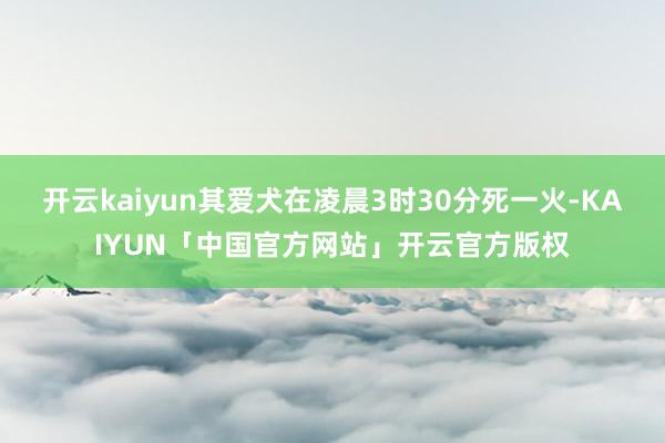 开云kaiyun其爱犬在凌晨3时30分死一火-KAIYUN「中国官方网站」开云官方版权