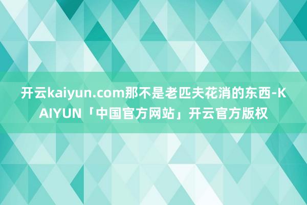 开云kaiyun.com那不是老匹夫花消的东西-KAIYUN「中国官方网站」开云官方版权