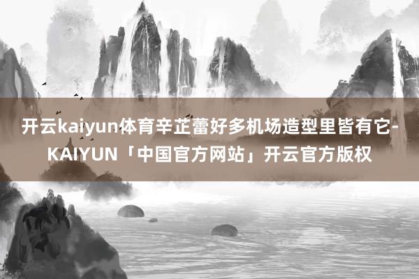 开云kaiyun体育辛芷蕾好多机场造型里皆有它-KAIYUN「中国官方网站」开云官方版权