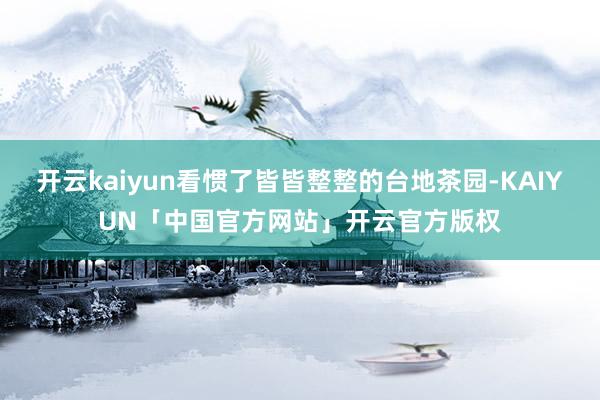 开云kaiyun看惯了皆皆整整的台地茶园-KAIYUN「中国官方网站」开云官方版权