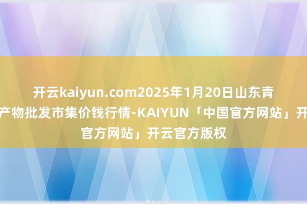 开云kaiyun.com2025年1月20日山东青岛黄河路农产物批发市集价钱行情-KAIYUN「中国官方网站」开云官方版权