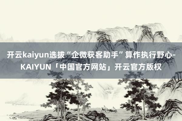 开云kaiyun选拔“企微获客助手”算作执行野心-KAIYUN「中国官方网站」开云官方版权
