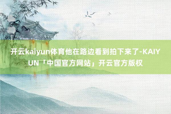 开云kaiyun体育他在路边看到拍下来了-KAIYUN「中国官方网站」开云官方版权