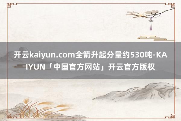 开云kaiyun.com全箭升起分量约530吨-KAIYUN「中国官方网站」开云官方版权